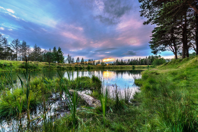 Обои картинки фото природа, реки, озера, река, лес