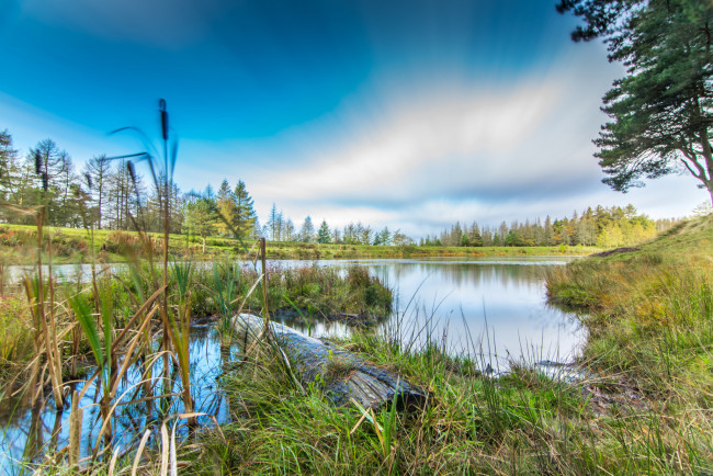 Обои картинки фото природа, реки, озера, река, лес