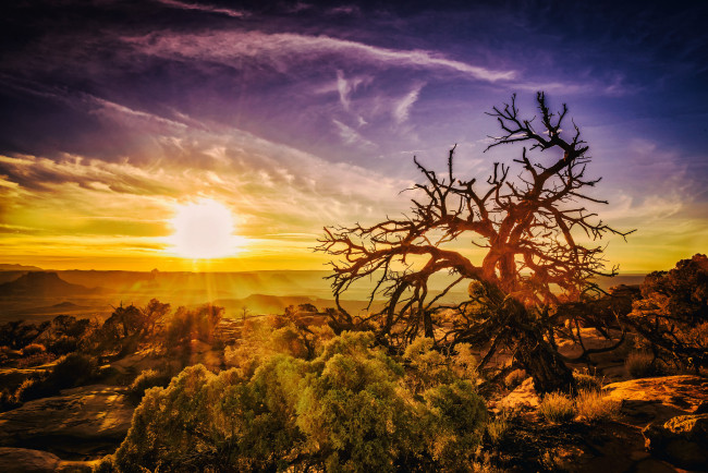 Обои картинки фото природа, восходы, закаты, рассвет