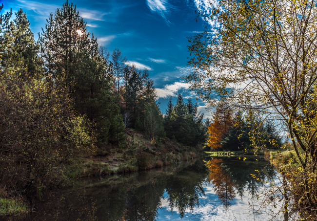 Обои картинки фото природа, реки, озера, река, лес