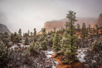 Картинка природа горы простор