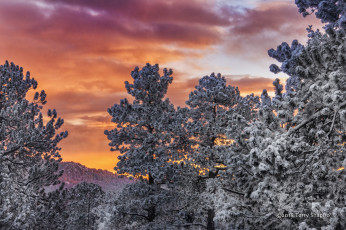 Картинка природа пейзажи простор