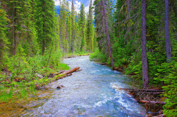 Картинка природа реки озера простор