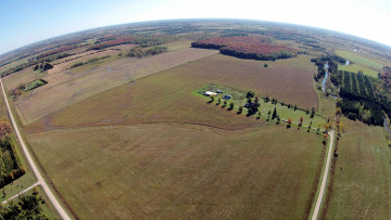 Картинка природа поля панорама