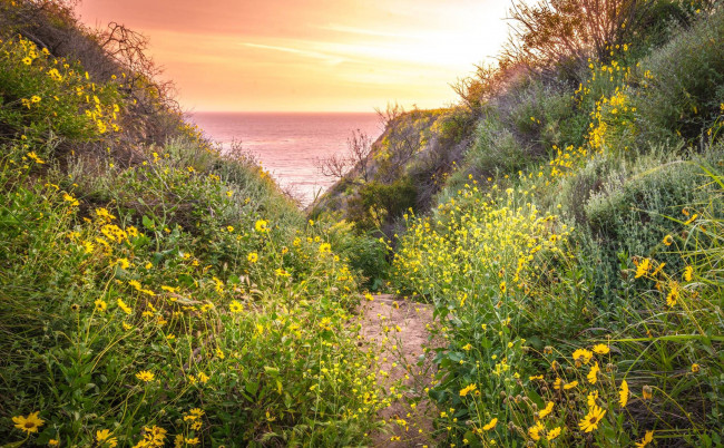 Обои картинки фото природа, побережье, простор