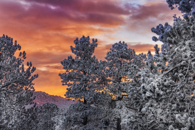 Обои картинки фото природа, пейзажи, простор