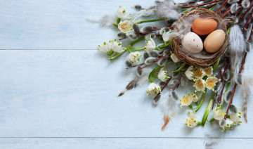 Картинка праздничные пасха перышки верба гнездо