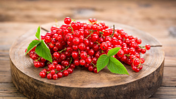 Картинка еда смородина ягоды красная