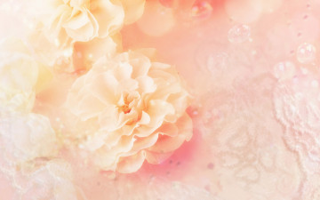 обоя разное, компьютерный дизайн, цветы, кружево