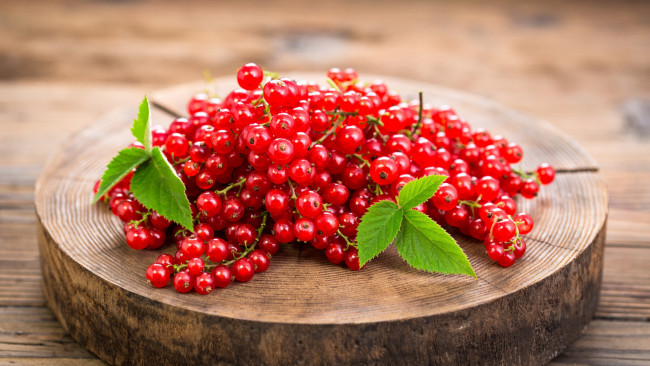 Обои картинки фото еда, смородина, ягоды, красная