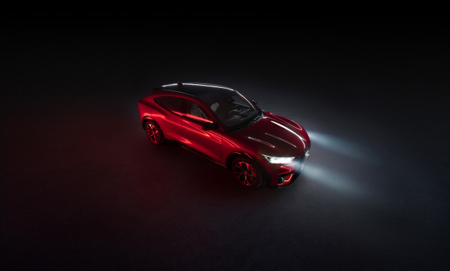 Обои картинки фото автомобили, ford, mustang