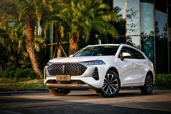 Обои картинки фото автомобили, wey