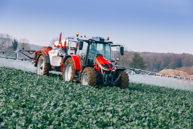 Обои картинки фото техника, тракторы, massey, ferguson