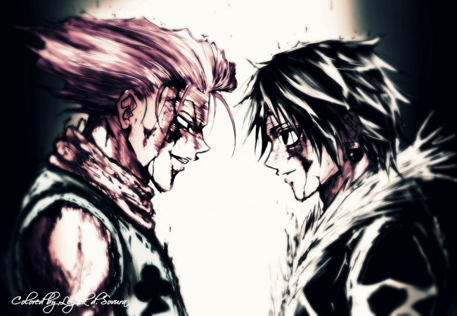 Обои картинки фото аниме, hunter x hunter, охотник, х