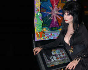 Картинка кино+фильмы elvira +mistress+of+the+dark эльвира игровой автомат