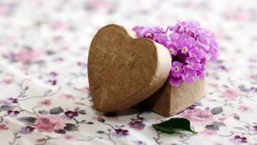 Картинка праздничные день+святого+валентина +сердечки +любовь цветы коробка