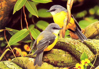 Картинка 295469 рисованное животные +птицы птички