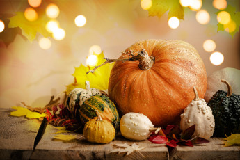 Картинка еда тыква тыквы