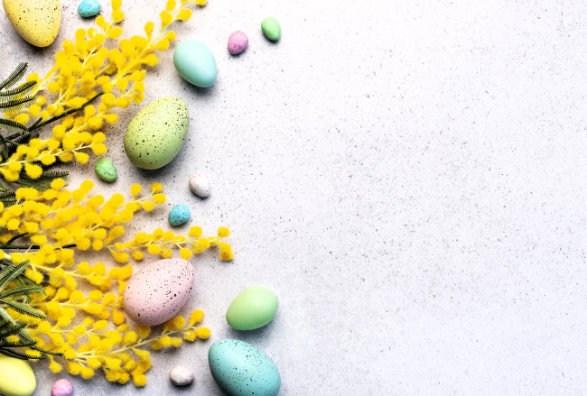 Обои картинки фото праздничные, пасха, мимоза, яйца