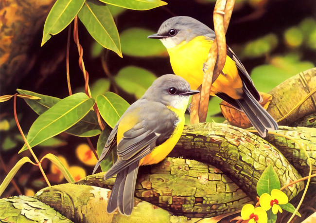 Обои картинки фото 295469, рисованное, животные,  птицы, птички