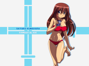 Картинка аниме bamboo blade