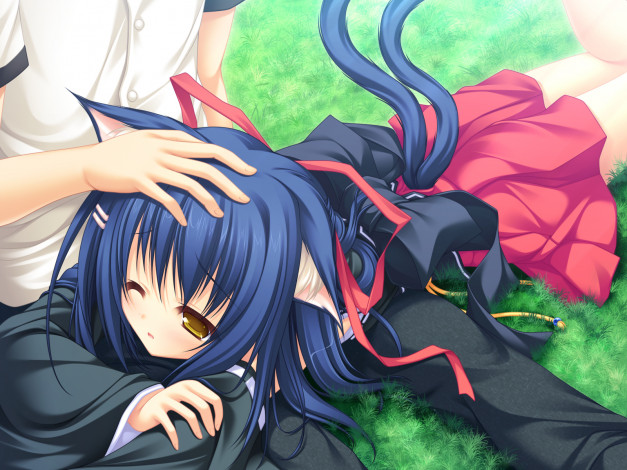 Обои картинки фото аниме, animals