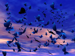 Картинка 3д графика animals животные небо облака бабочки