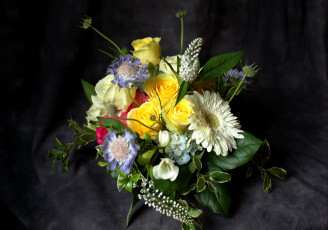 Картинка цветы букеты композиции гортензия герберы фрезия розы скабиоза