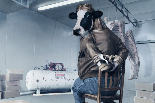 Обои картинки фото автор, mark, holthusen, юмор, приколы, связанный