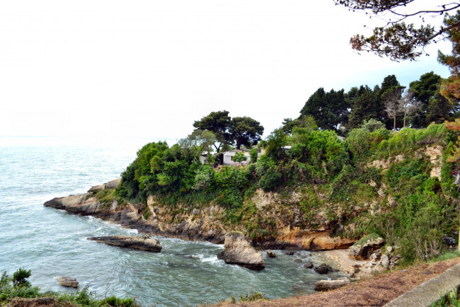 Обои картинки фото Черногория, адриатика, природа, побережье, берег, деревья, обрыв, море