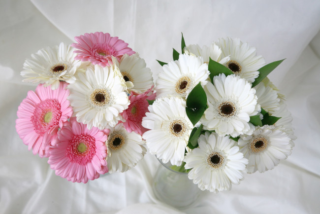 Обои картинки фото цветы, герберы, букеты, свадебный