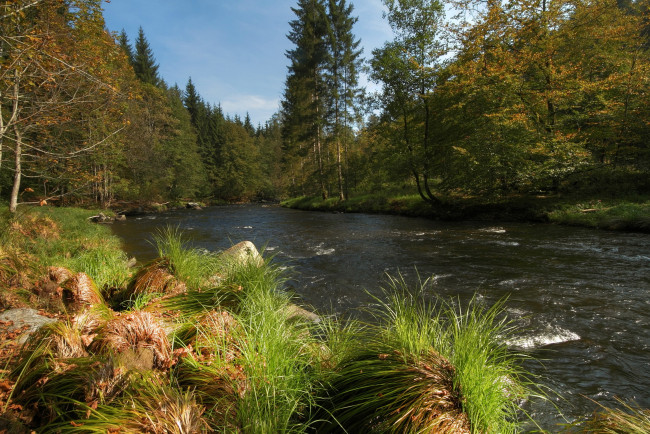 Обои картинки фото германия, бавария, природа, реки, озера, река, деревья