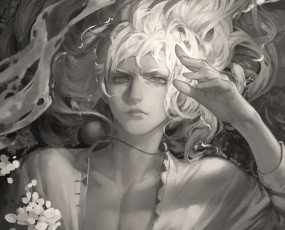 обоя аниме, berserk, арт, взгляд, парень, griffith, the, white, hawk