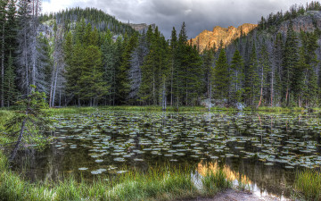 Картинка природа реки озера лес река горы