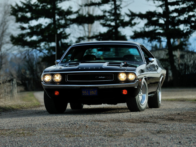 Обои картинки фото автомобили, dodge