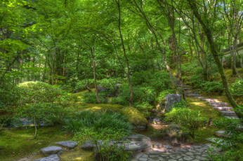 Картинка природа парк растительность пруд