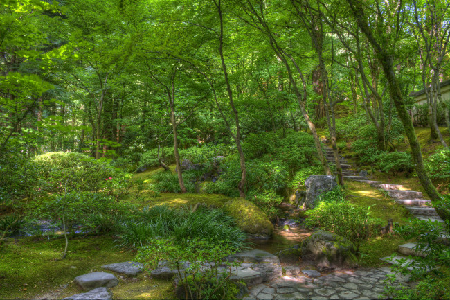 Обои картинки фото природа, парк, растительность, пруд