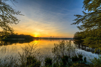 Картинка природа реки озера река лес