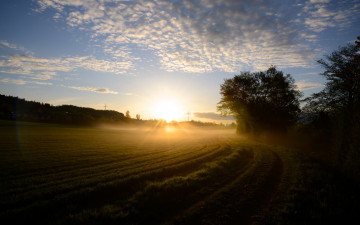 Картинка природа восходы закаты небо утро поле туман рассвет облака