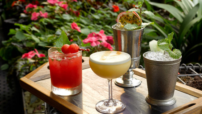 Обои картинки фото еда, напитки,  коктейль, коктейли, лед, мята