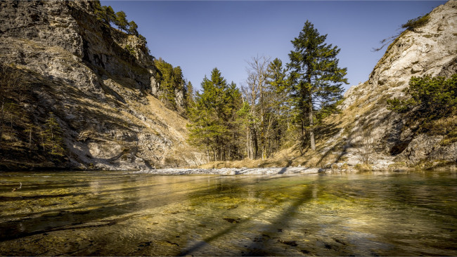 Обои картинки фото природа, реки, озера, река, лес