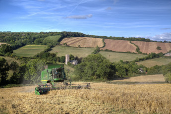 Картинка техника комбайны поле комбайн