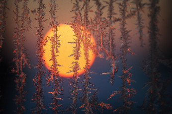 Картинка природа зима простор