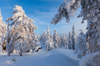 Картинка природа зима простор