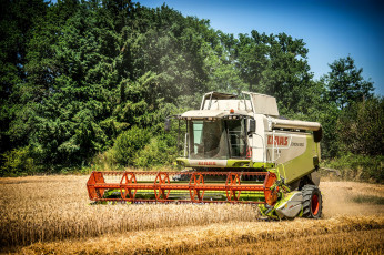 Картинка техника комбайны поле комбайн