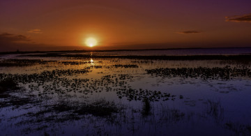 Картинка природа восходы закаты простор