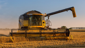 обоя техника, комбайны, поле, комбайн