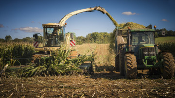 Картинка техника комбайны поле комбайн