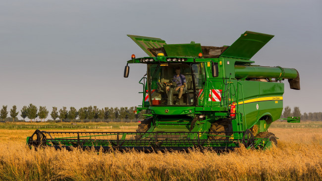 Обои картинки фото техника, комбайны, поле, комбайн