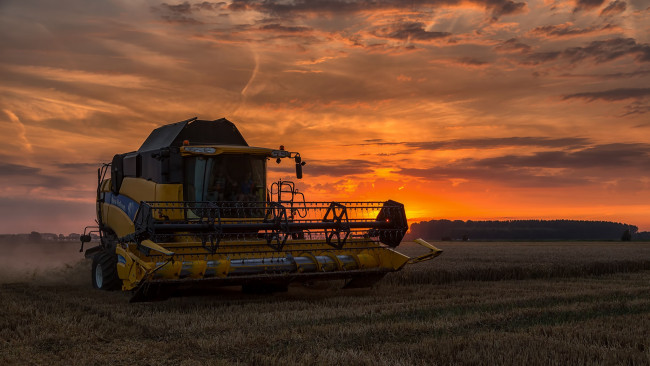 Обои картинки фото техника, комбайны, поле, комбайн